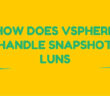 vSphere handle snapshot LUNs