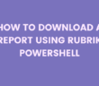 Report using Rubrik PowerShell